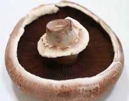 Champignon Portobello (non Bio) - 200g
