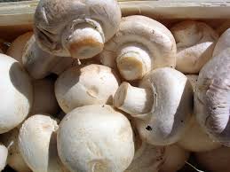 Champignon de Paris (non Bio) - 200g