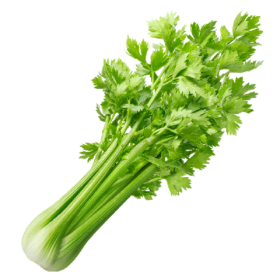Céleri 100g