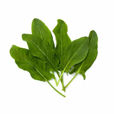 Epinard 100g