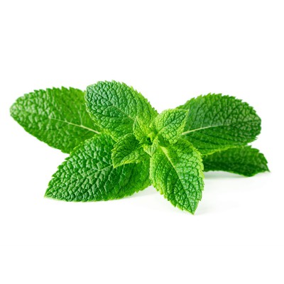 Menthe poivrée 100g