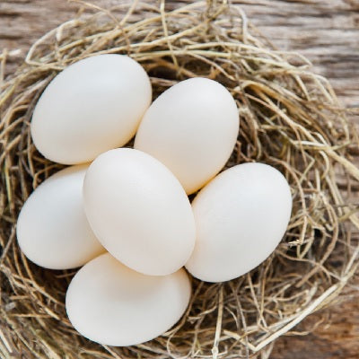 Oeufs beldi boîte de 6