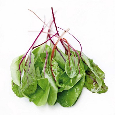 Jeunes pousses de betteraves 100g