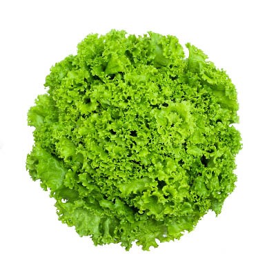 Lollo rossa verte (pièce)