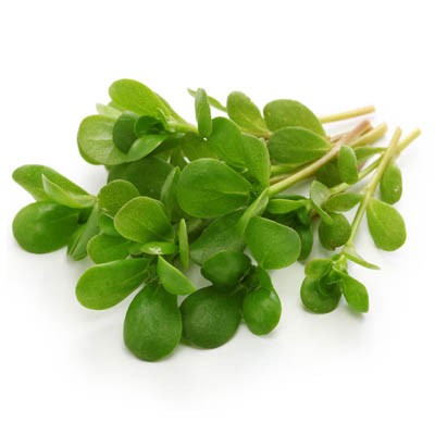 Pourpier 100g