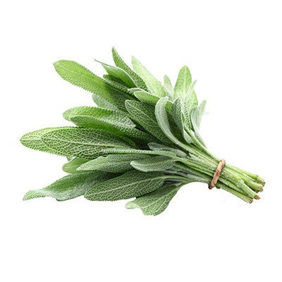 Sauge 25g