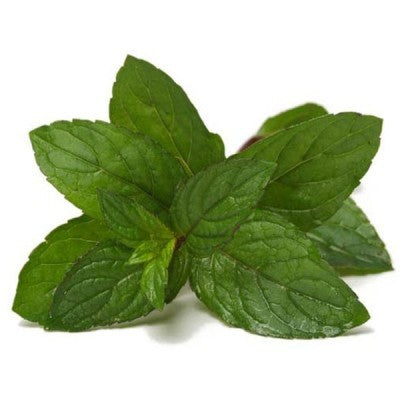 Menthe Abdi  100g