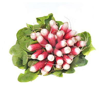 Radis rose  250g
